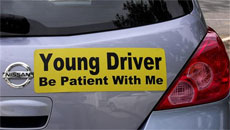 Attention Call for New Drivers by Government Attention Call for New Drivers by Government