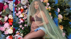 Beyonce Is Pregnant With Twins