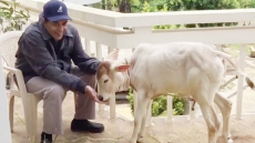 Arjun Hingorani Was Like My Own Brother For Over 65 Years: Dharmendra