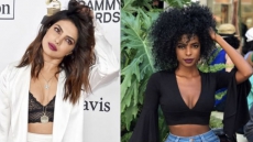 See Pics: Priyanka Chopra's Fans Can't Believe How Much She Looks Like This American Model
