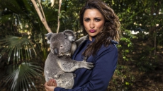 I'm A Very Avid Traveller: Parineeti Chopra