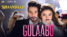 Shahid And Alia's 'Shaandaar' Avant-Garde Gone Awry