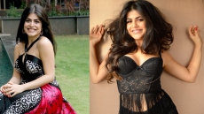 Would Love To Do More Indian Films: Shenaz Treasury