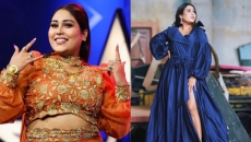 Has Afsana Khan really opted out of 'Bigg Boss 15'?