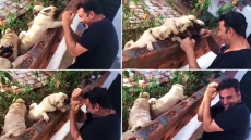 Akshay Kumar's 'Workout' With Four Adorable Pugs Will Bring You Instant Joy