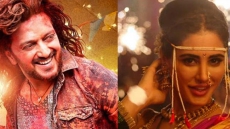 Riteish Deshmukh Easy To Work With: Nargis Fakhri