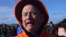 Bill Murray Or Tom Hanks? Some Viewers Of Photo Aren't Sure