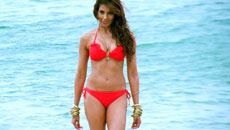 Horror Hasn't Got Its Due: Bipasha Basu