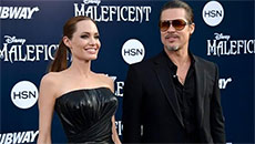 Angelina Jolie, Brad Pitt Were Married Before Their France Wedding?