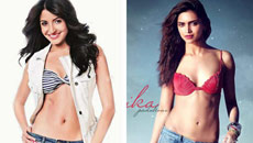 Meow! Let's Get Catty