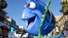 Love Disney's 'Dory' Fish? Soon, You Could Get Your Own