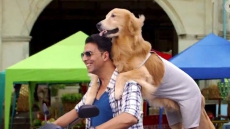 'Entertainment' crosses Rs.35 crore mark