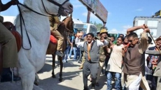 PETA, Bollywood Want BJP MLA Kicked Out For Wounding Horse