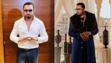 Singer Honey Singh 'manhandled' during concert in Delhi, FIR lodged