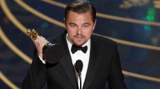 Oscar-Winning 'The Revenant' Shines At Indian Box Office