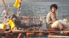 Hollywood Movies With 'Desi' Stories