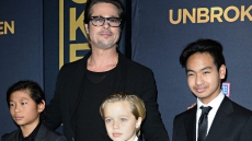 Brad Pitt Seeks Joint Custody Of Kids
