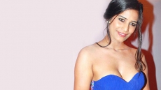 Poonam Pandey signs second film, says won't disappoint fans