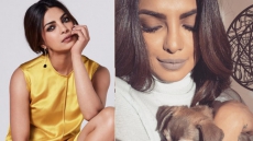 Priyanka Chopra Has This Surprising Confession About Her Brows