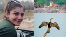 Raveena Tandon's Wildlife Photography To Be Exhibited
