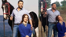 Salman Khan's Rs. 2 Crore Bid For Rare-Breed Horse Rejected By Owner