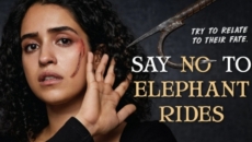 Sanya Malhotra joins forces with PETA India against elephant 'joyrides'
