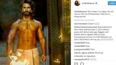 Shahid Kapoor Was Only Promoting Padmavati. Trolls Made It About Ranveer Singh