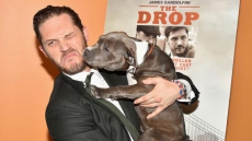 Won't do a romantic comedy, again: Tom Hardy