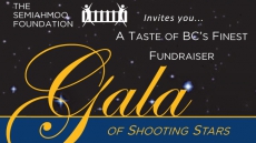 Gala of Shooting Stars