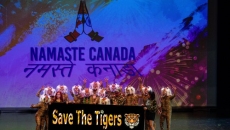 A Dance with a Message: Saving Tigers Before They Live Only In Folklore