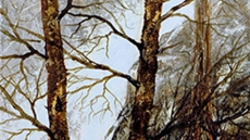 Garibaldi Art Club Spring Show