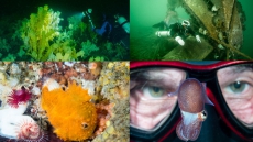 Britannia Mine Museum’s New Exhibits Celebrate Howe Sound “Foundations” & “Howe Sound: Beaut