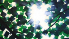 Henni Alftan’s First North American Solo Exhibition, Shadows in the Mirror