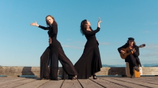 VIFF presents MIXED BILL: Liminal by CALLE VERDE featuring PURO SENTIMIENTO by CHRISTINA TREMBLAY