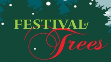 Festival of Trees