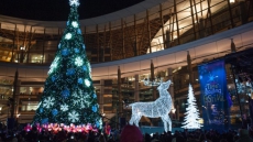 Surrey’s Tree Lighting Festival