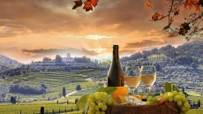 Vancouver International Wine Festival