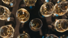 Be Wise Speaker Series and Whisky Festival