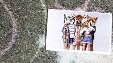 All My Friends Are Animals