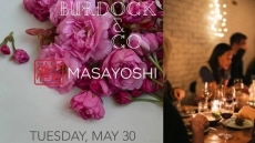 Sakura and spot prawns take centre stage at Burdock & Co