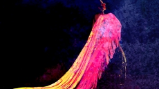 Flamenco Rosario Presents Fin de Fiesta