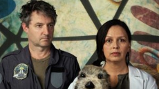 A Brief History of Human Extinction