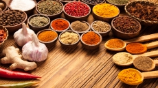 Experience the Diverse Cuisines of India with Chef Nettie Cronish