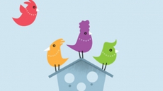 MOM’S THE WORD 3: NEST ½ EMPTY