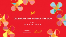 Oakridge Centre LunarFest