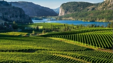 Blue Mountain hosts Summer Social