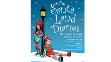 THE SANTALAND DIARIES