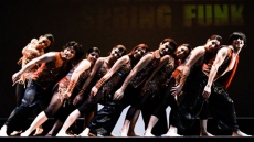 Shiamak Summer Funk 2016 – Rise Of The Champions
