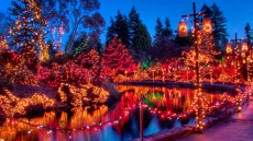 VanDusen Festival of Lights