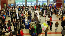 Volunteering and Beyond